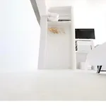 The House
