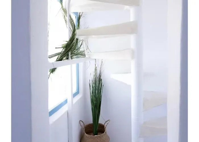 The House 基斯诺斯